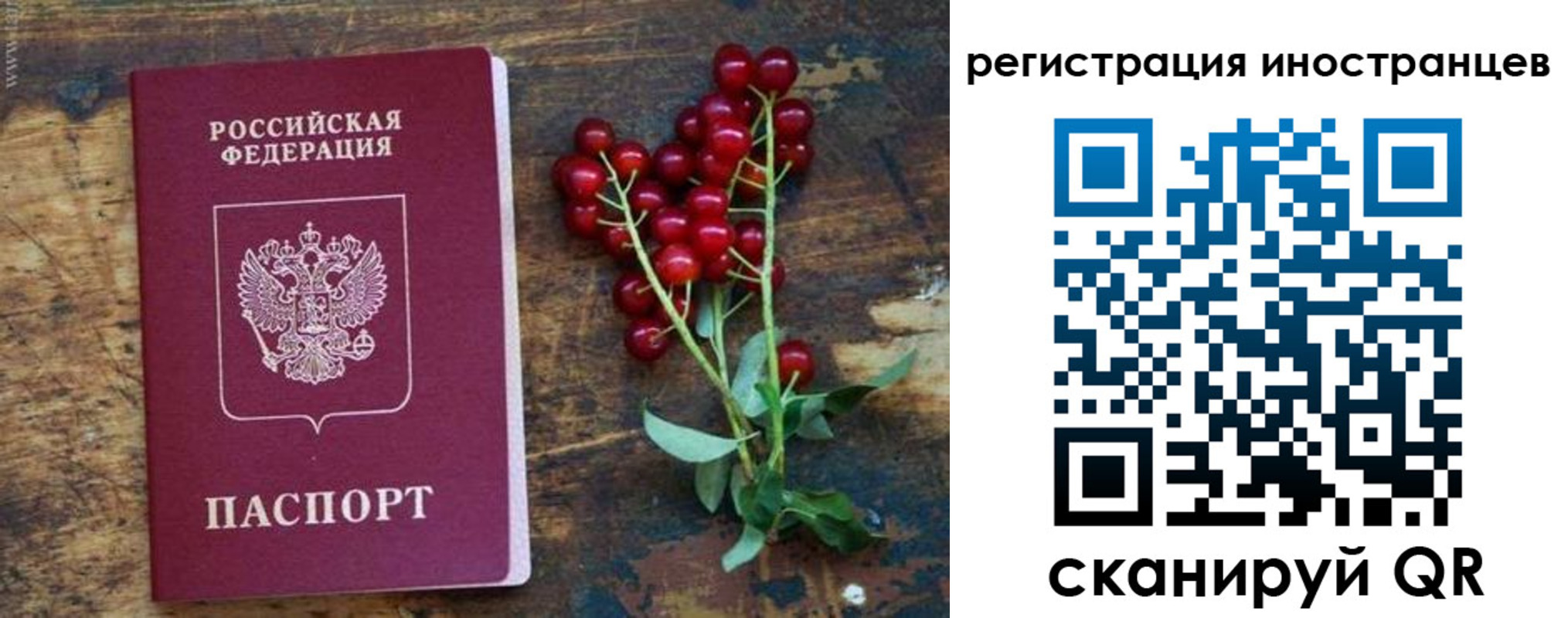 прописка для работы в Ясном